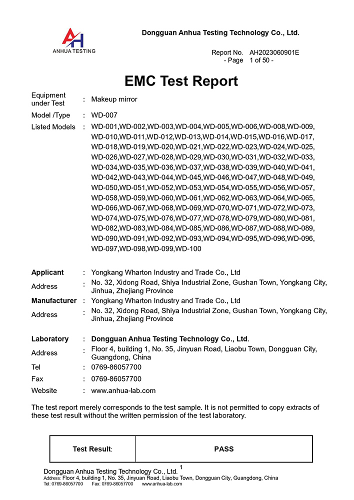 CE-EMC Report